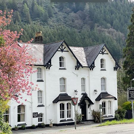 Hotel The Buckley Arms à Dinas Mawddwy Extérieur photo