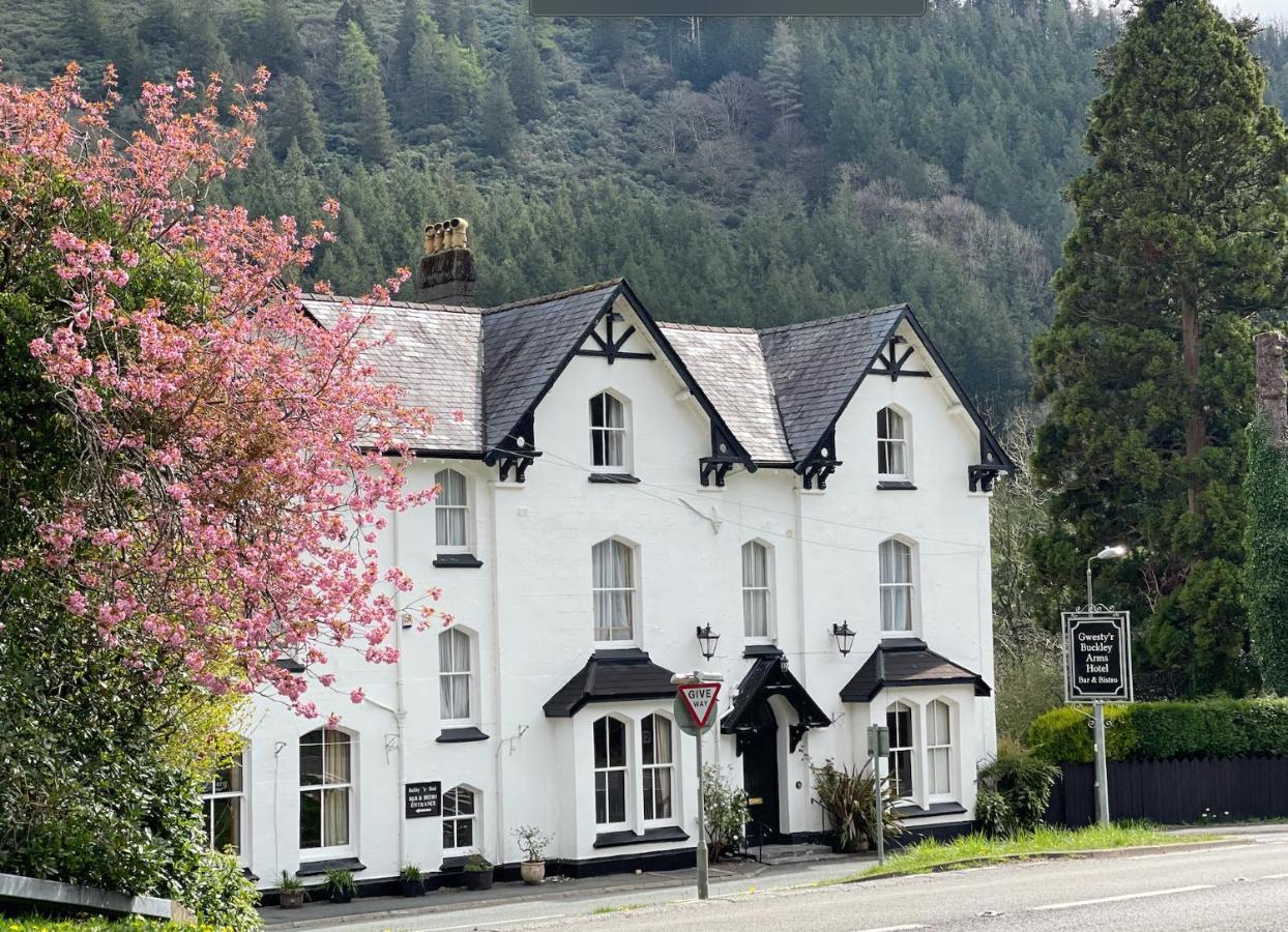 Hotel The Buckley Arms à Dinas Mawddwy Extérieur photo