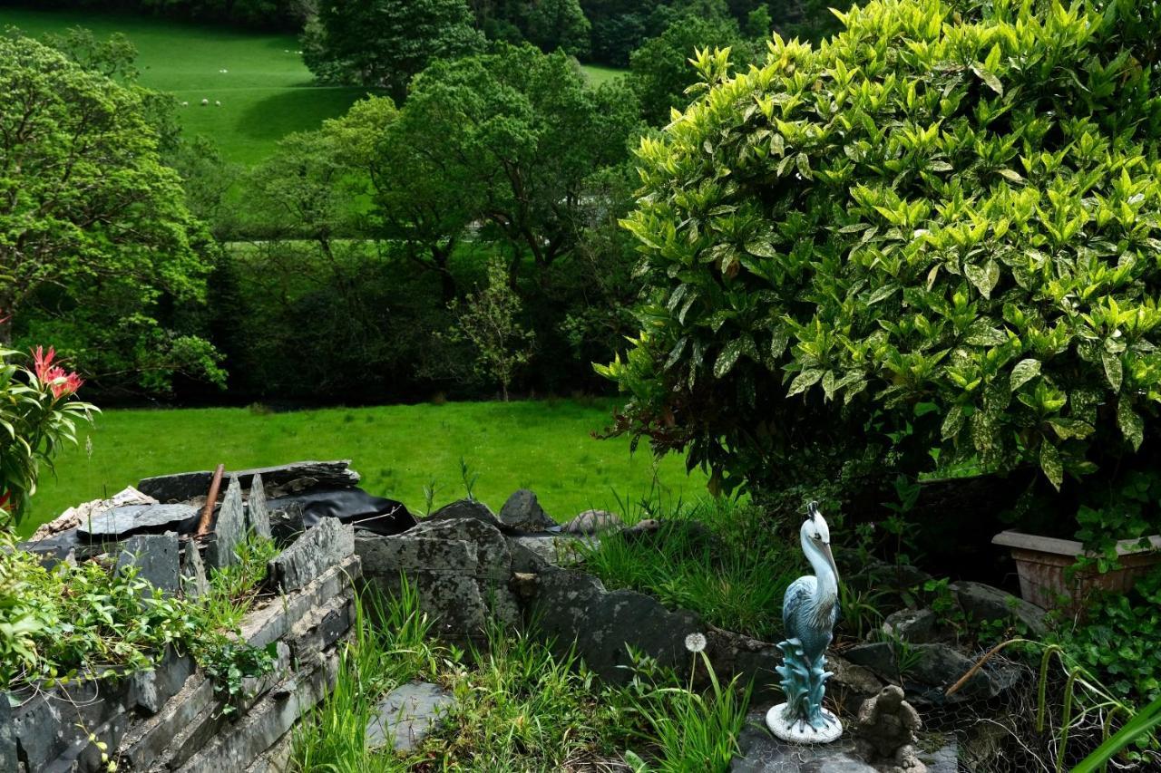 Hotel The Buckley Arms à Dinas Mawddwy Extérieur photo